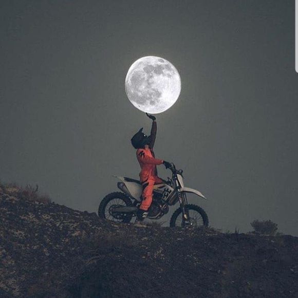 Meet your Posher, Cody - Picture 1 of 1